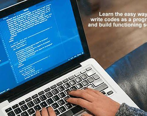 Software Developer services