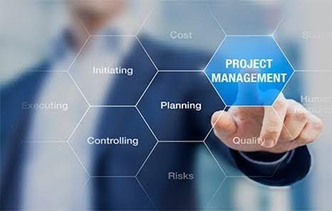 Project Manager services