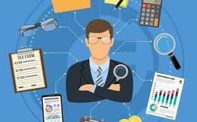 Auditor services
