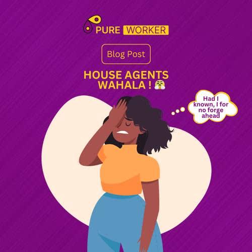House Agent Wahala