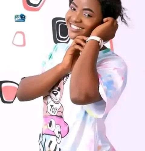 Adekanmi telecom enterprises