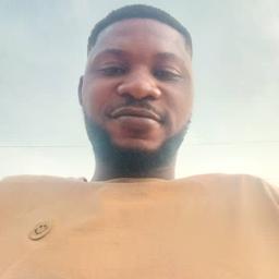 Damilare Timothy . O