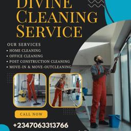 Divine Cleaning Service